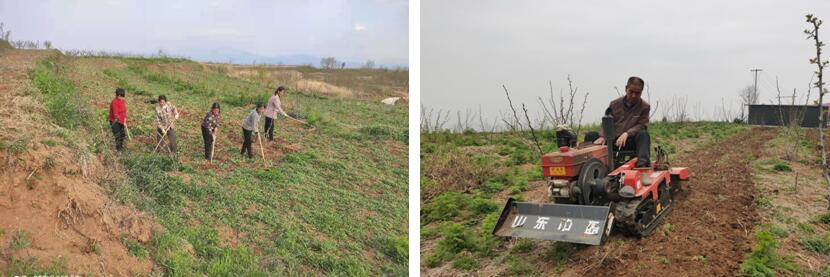 191621409081291438.jpeg QQ截图20210517111147.jpg