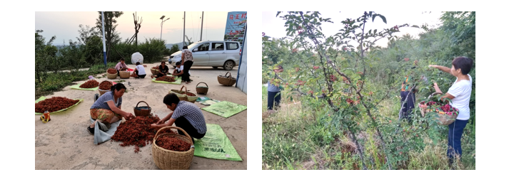 201663666307160259.png 微信截图_20220920173147.png