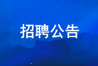 君临国际集团有限公司 2025年度公开招聘公告