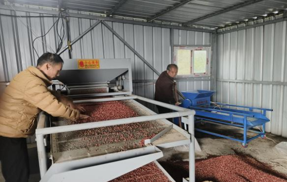 乡村振兴工作动态(第173期)